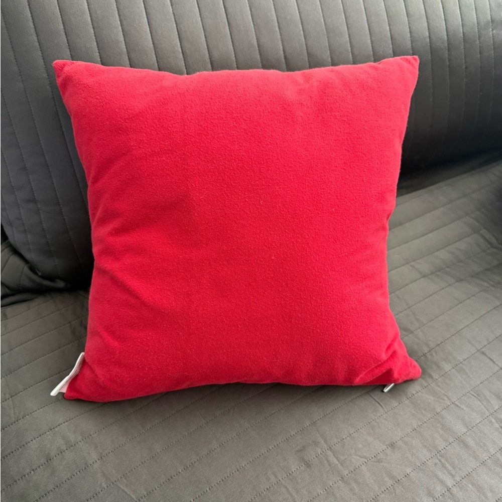 University of Wisconsin pillow - Picture 2 of 2
